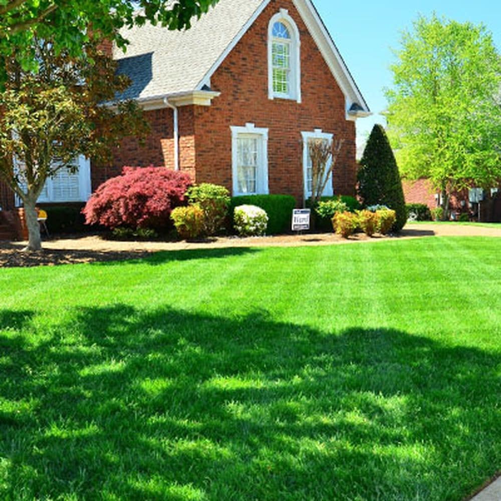 Yard Maintenance